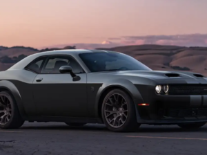 Wanted***2025***Challenger***Hell***Cat***Red***Eye