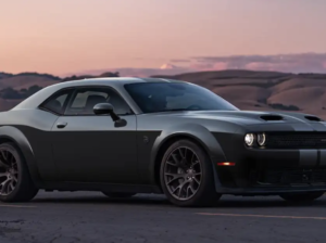 Wanted Hell Cat Red Eye