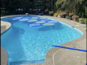 Pool & Amenities Rental